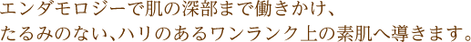 セルライトに効果的な「エンダモロジー」